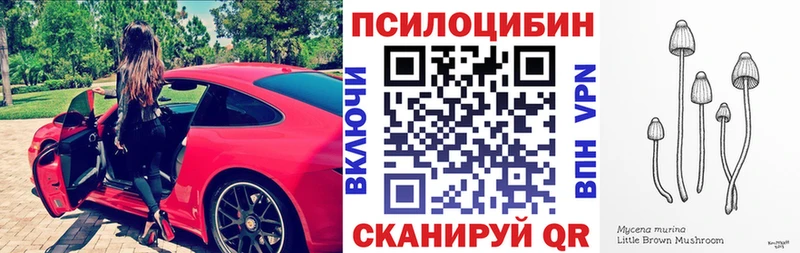 Псилоцибиновые грибы ЛСД  Калтан 